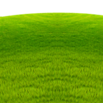 grass2