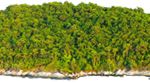 island1-230×83