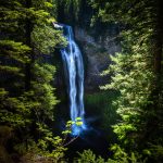 shutterstock_153681260-1
