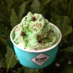 Icon Creamery Dondurma