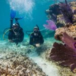 PADI_Bimini_Jan_2017_2649_20180707213705