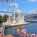 Sheshi Ortakoy Max Travel