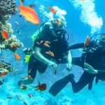 istock-scuba-diving-buddy-egypt-p