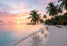 Maldive Maldives foto udhëtimi