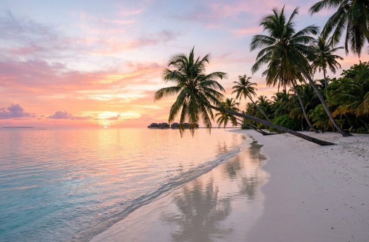 TOP 5 Hotele për Çifte në Antalya 2026 — Pushime Romantike Ultra All Inclusive nga 549€ Maldive Maldives foto udhëtimi